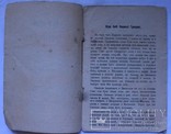 І. Нечуй-Левицький, "Біда бабі Парасці Гришисі" (1909). Перше видання, фото №3