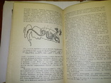 Лікувальні властивості меду і бджолиноі отрути (1960 г), фото №6