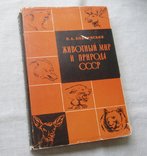 Животный мир и природа СССР. Академия наук СССР. 1960г., фото №3