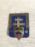 Франция. Знак 110-го пехотного полка, фото №2