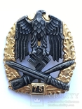 Нагрудный знак «За участие в общих штурмовых атаках» 75 лет копия, фото №2