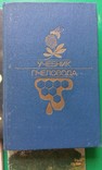 Бджільництво, пасіка, вулики. Пчеловодство, ульи пчолы., фото №9