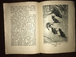 1936 Детская книжка Рисунки Кузнецова, фото №8