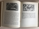 1939 Архитектура Италии Большого формата, фото №8