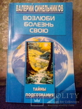 Синельников В. Возлюби болезнь свою (Москва 2005) тираж-25000, фото №2