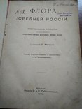 Флора средней России 1902 (с библиотеки И. Маевскій.), фото №4