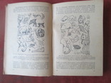 Рихард Гессе .Учение о происхождении видов и дарвинизм.1936 год, фото №4