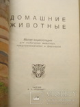 Домашние животные в 2-х томах, фото №6