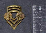 Знак мастер сержант США, фото №2