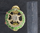 Нагрудный знак 13 Кавалерийского полка. США, фото №2