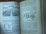 1934 Плодоводство, экономика и Агротехника плодово-ягодных культур, фото №7