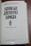 Украинское литературное барокко, фото №3