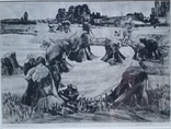 Кецало З. Поліський льон, 1983, суха голка, 31,5х41,5 см, фото №3
