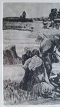 Кецало З. Поліський льон, 1983, суха голка, 31,5х41,5 см, фото №4