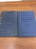 1938 Анатомия человека, 2 тома, фото №2