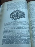 1938 Анатомия человека, 2 тома, фото №12