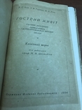 1936 Гострий живіт, фото №2