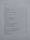 Л.Денисенко Моя Україна, фото №4