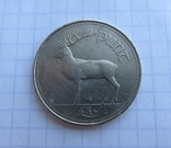 1 фунт 1990 Ірландія, фото №2