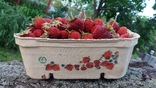 Эко-лотки для сбора и хранения ягод 10 шт., photo number 5