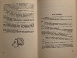 Амбасадори. Сатири й гуморески. Торонто - 1968 (діаспора, еміграція), фото №6