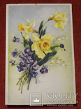 Цветы 1947г. (с нечастой маркой), фото №3