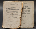 Лекарственные Растения в двух томах 1918 года  М . В Рытов, фото №2