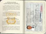 Паспорт моряка Панама Бордовый, фото №3