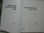 "Ботанические сады СССР" П.Лапин, 1984 год, фото №4