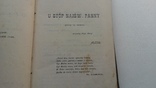 Книга на польском языке 1901 года, фото №6