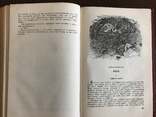 1935 Виктор Гюго Девяносто третий год, фото №9