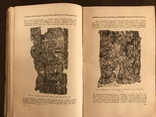 1924 Українська Бібліографія, всього 1000 тираж, фото №9