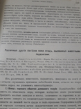 Руководство частной паталогии и терапии домашних животных., фото №6