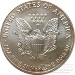 США 1 доллар, 1993, Американский серебряный орёл,С112, фото №2
