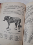 Книга болезни собак., фото №8