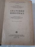 Книга Анатомия животных., фото №4