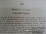 Практическое руководство в гомеопатической медицине Москва 1869 год, фото №7