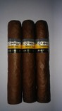 Сигари Cohiba Maduro 5, Cohiba Robusto, фото №2