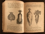 1913 Подарок Украинскому фермеру Для Юга и Юго-Запада, фото №11