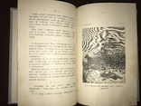 1902 Охота в камышах Каразина, фото №6