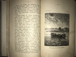 1902 Охота в камышах Каразина, фото №7