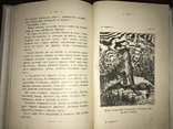 1902 Охота в камышах Каразина, фото №12