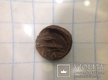 Монета Ольвии., фото №5