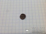 Монета Ольвии., фото №8