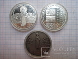 Монеты Украины серебро 20 штук одним лотом, фото №7