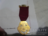 Масонская медаль знак масон 1701, фото №4
