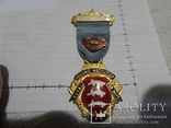 Масонская медаль знак масон 1720, фото №2