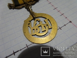 Масонская медаль FOUNDER знак масон 1719, фото №4
