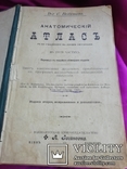 Анатомический атлас 1899 года, фото №13