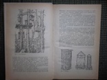 Приусадебная пасека.1988 год., фото №6